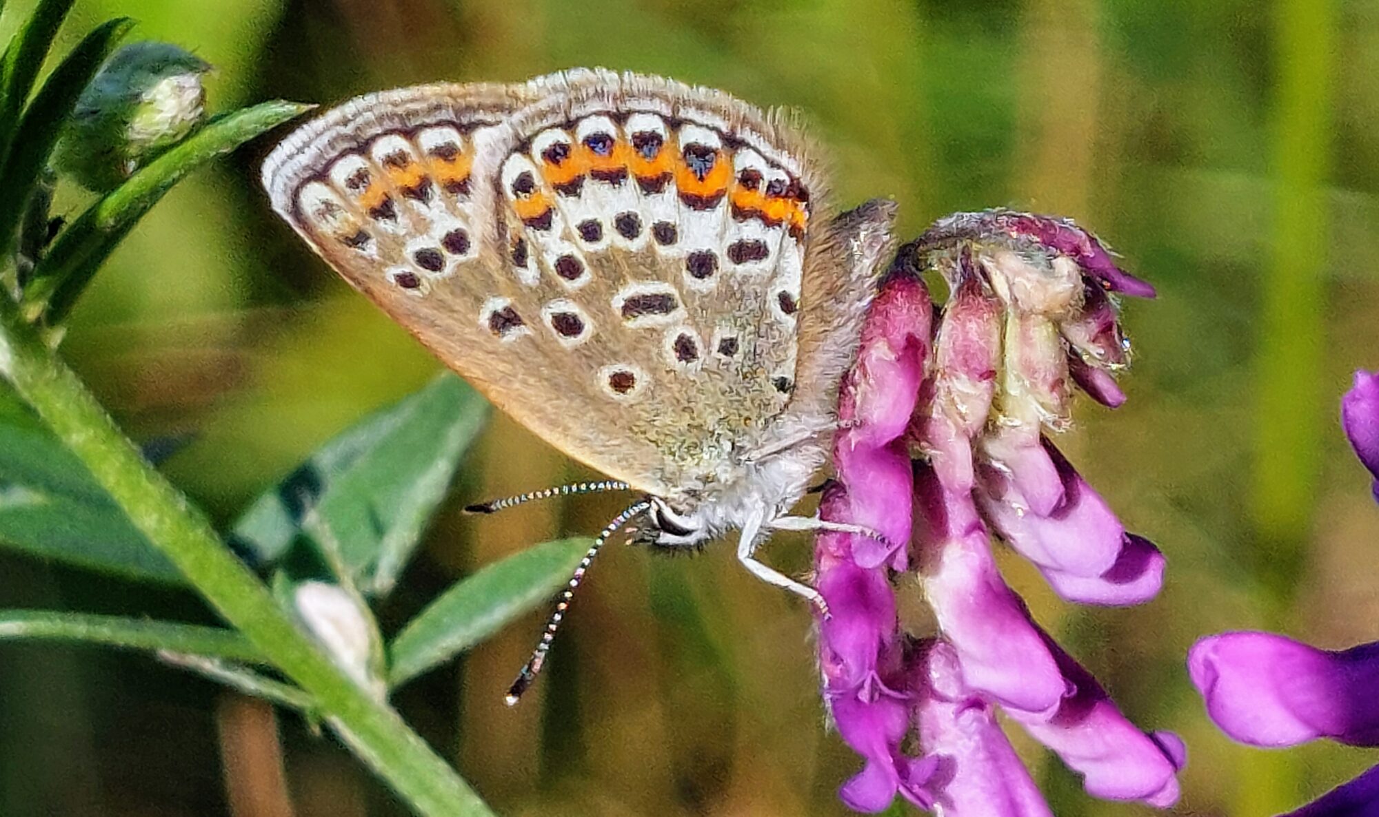 Valokuvaaja: Tarja Naukkarinen
