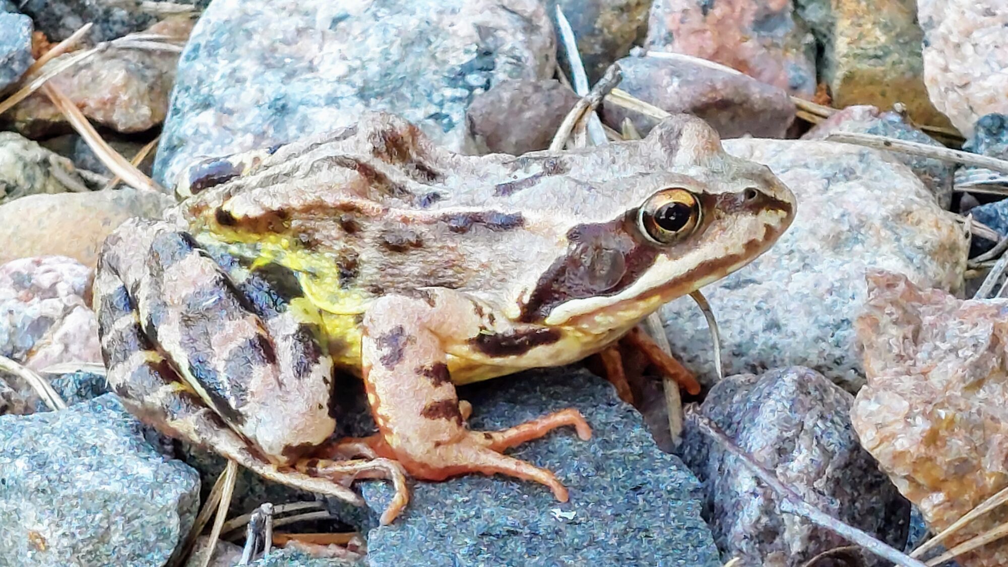 Valokuvaaja: Tarja Naukkarinen