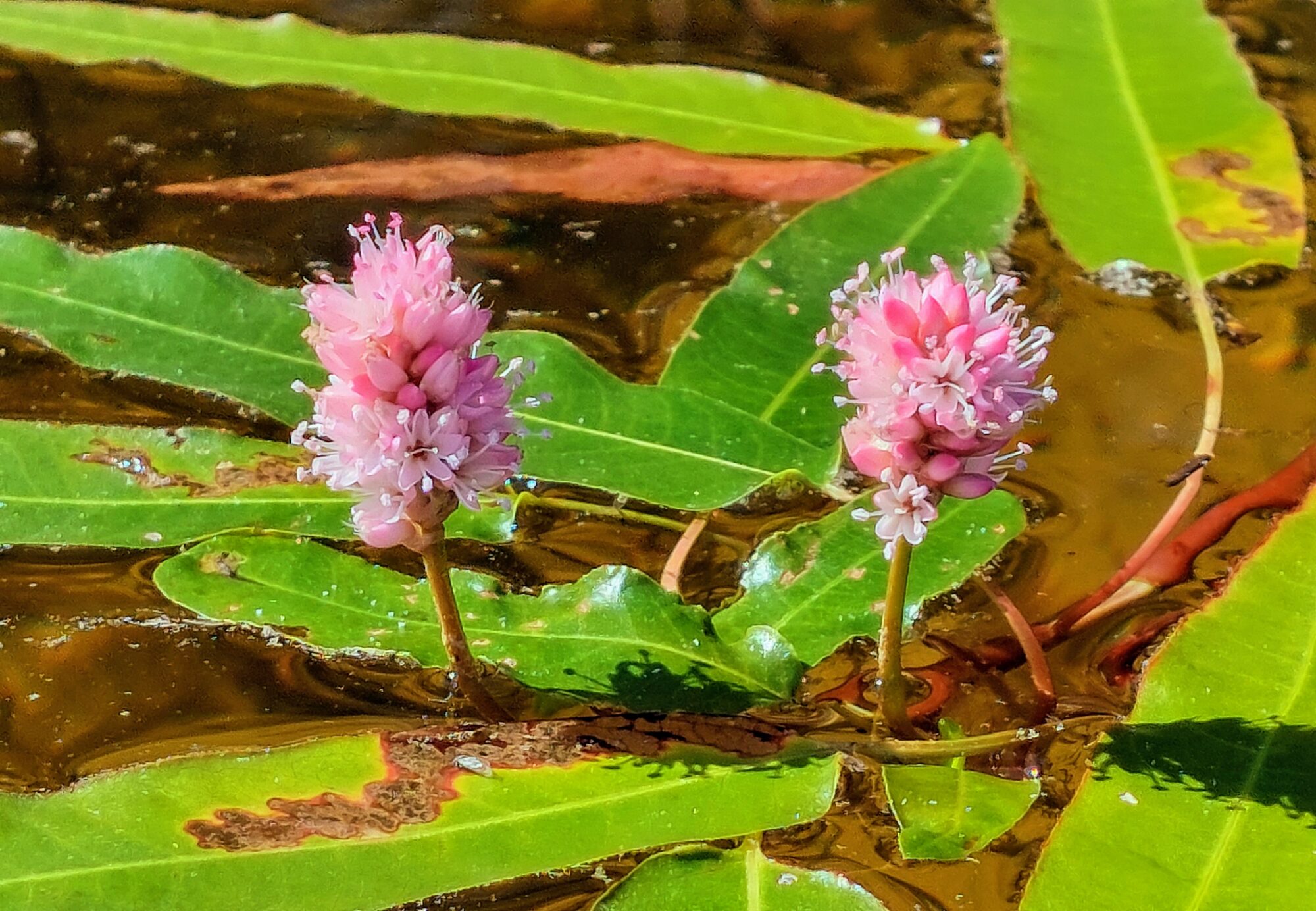 Valokuvaaja: Tarja Naukkarinen