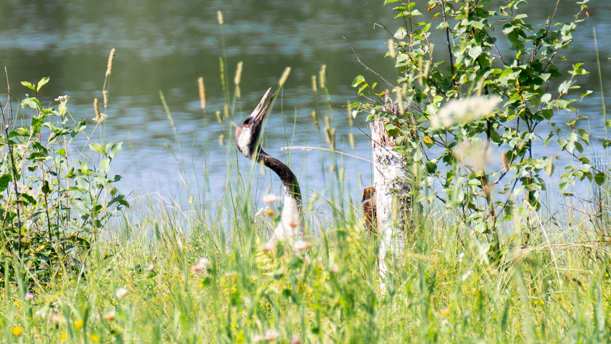 Valokuvaaja: Helena Minkkilä