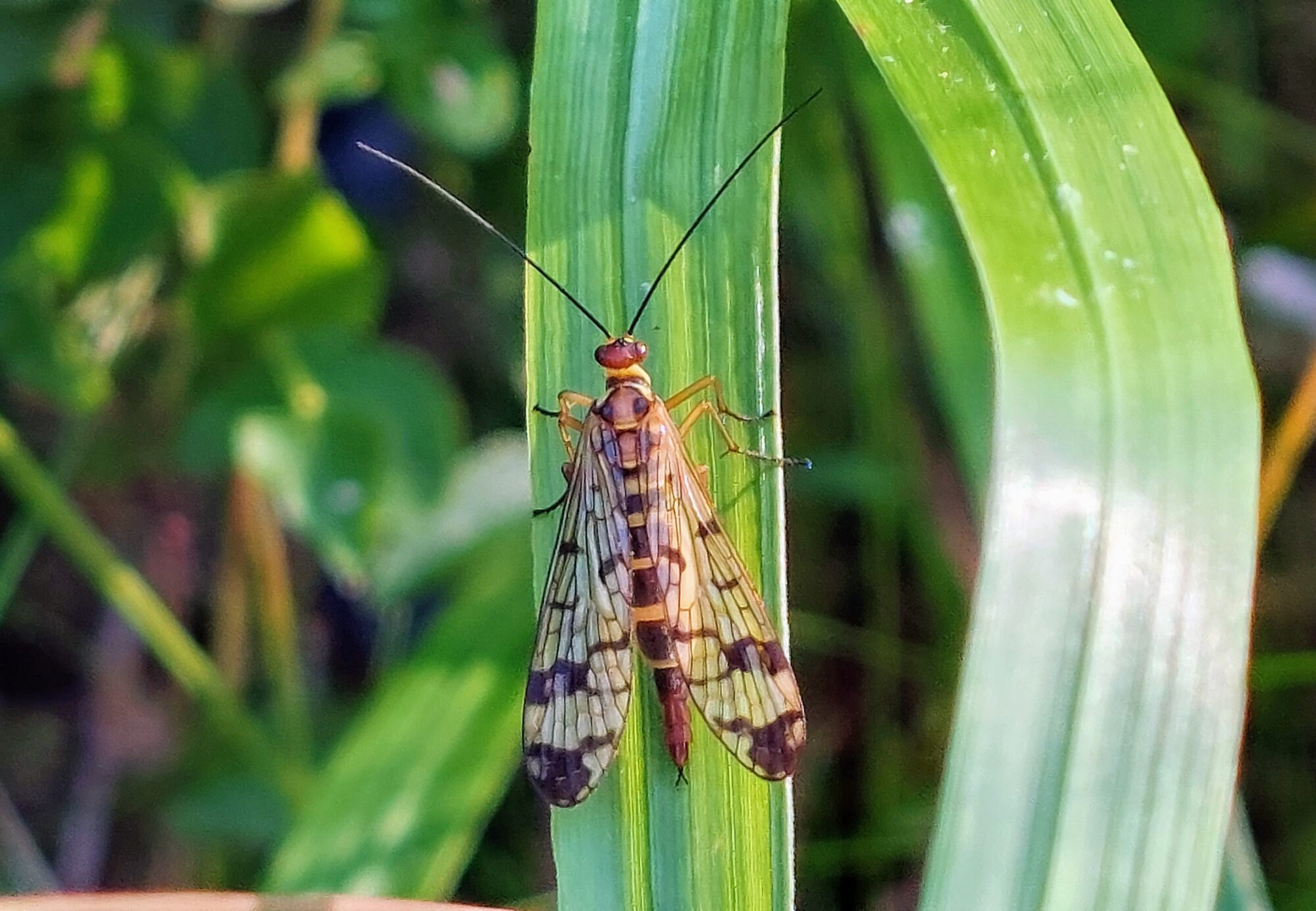 Valokuvaaja: Tarja Naukkarinen
