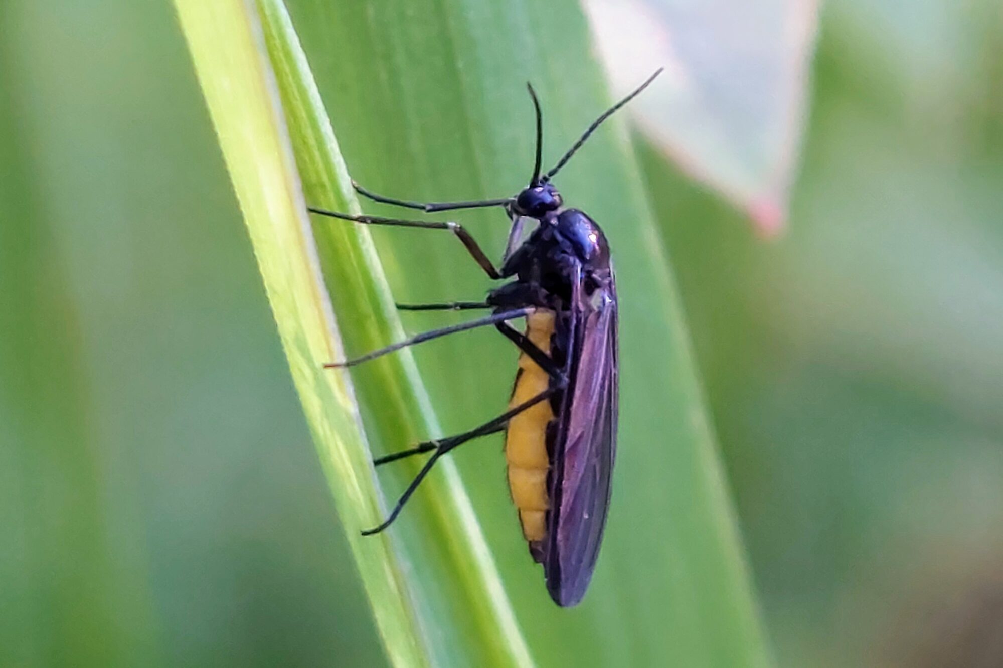 Valokuvaaja: Tarja Naukkarinen