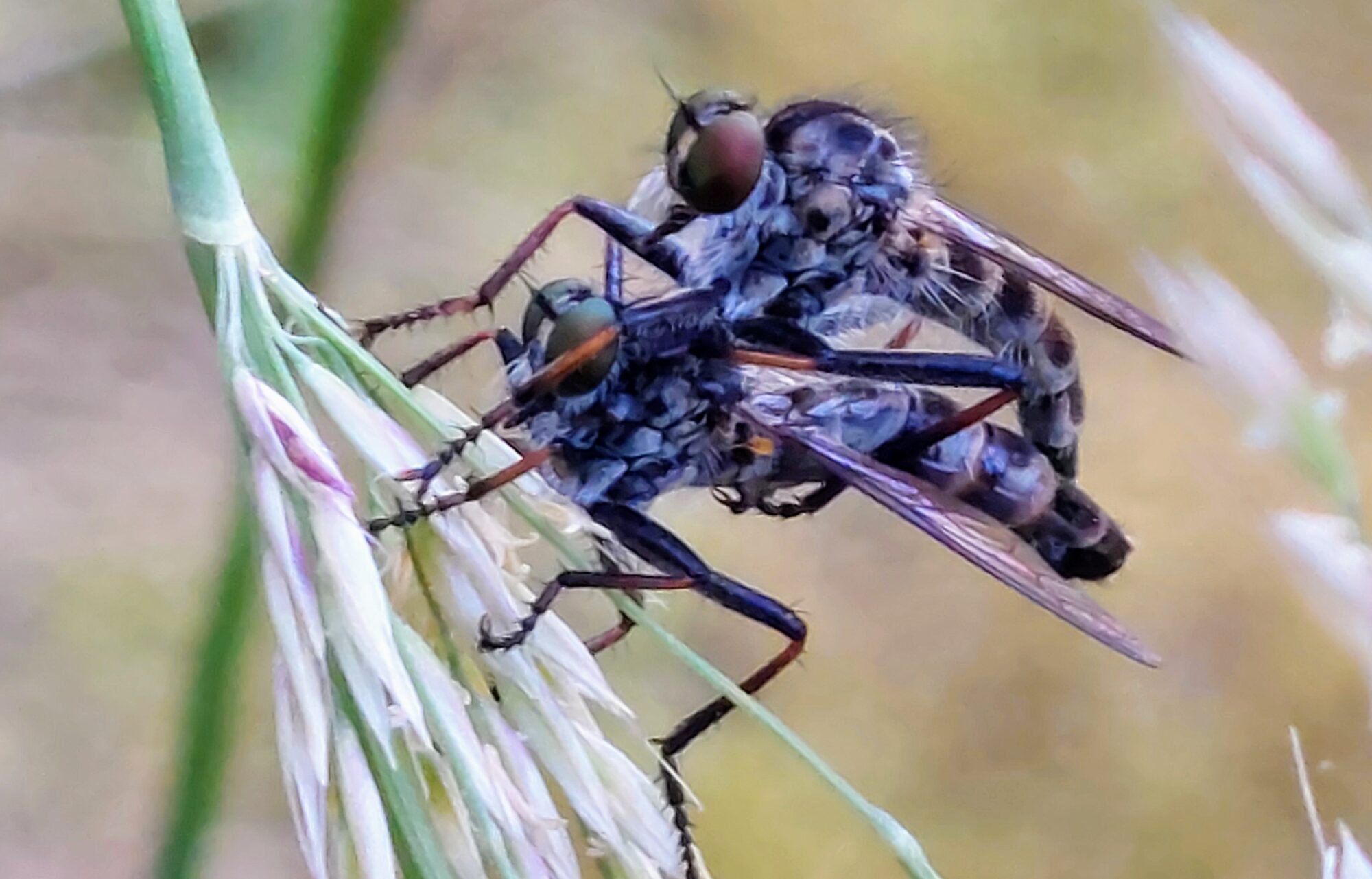 Valokuvaaja: Tarja Naukkarinen