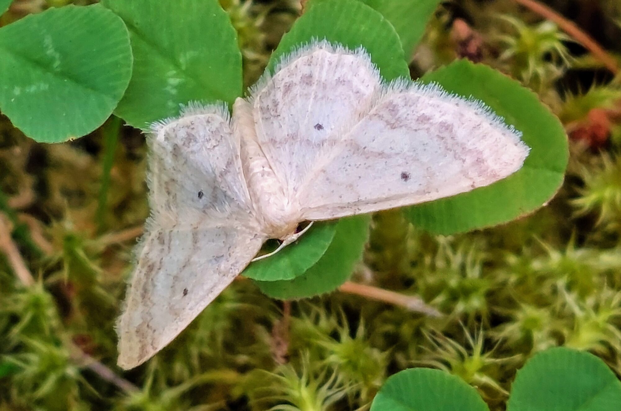 Valokuvaaja: Tarja Naukkarinen