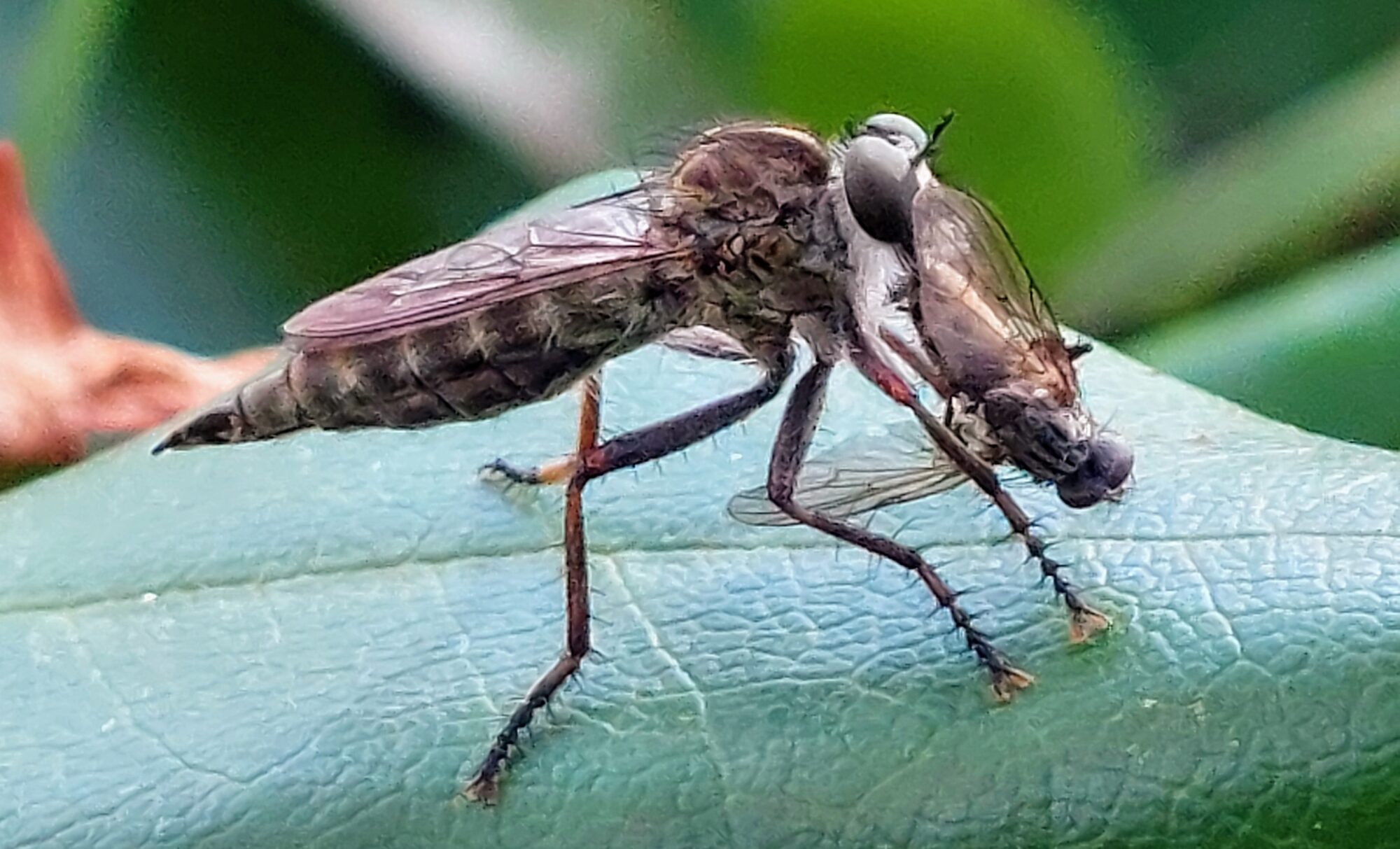 Valokuvaaja: Tarja Naukkarinen