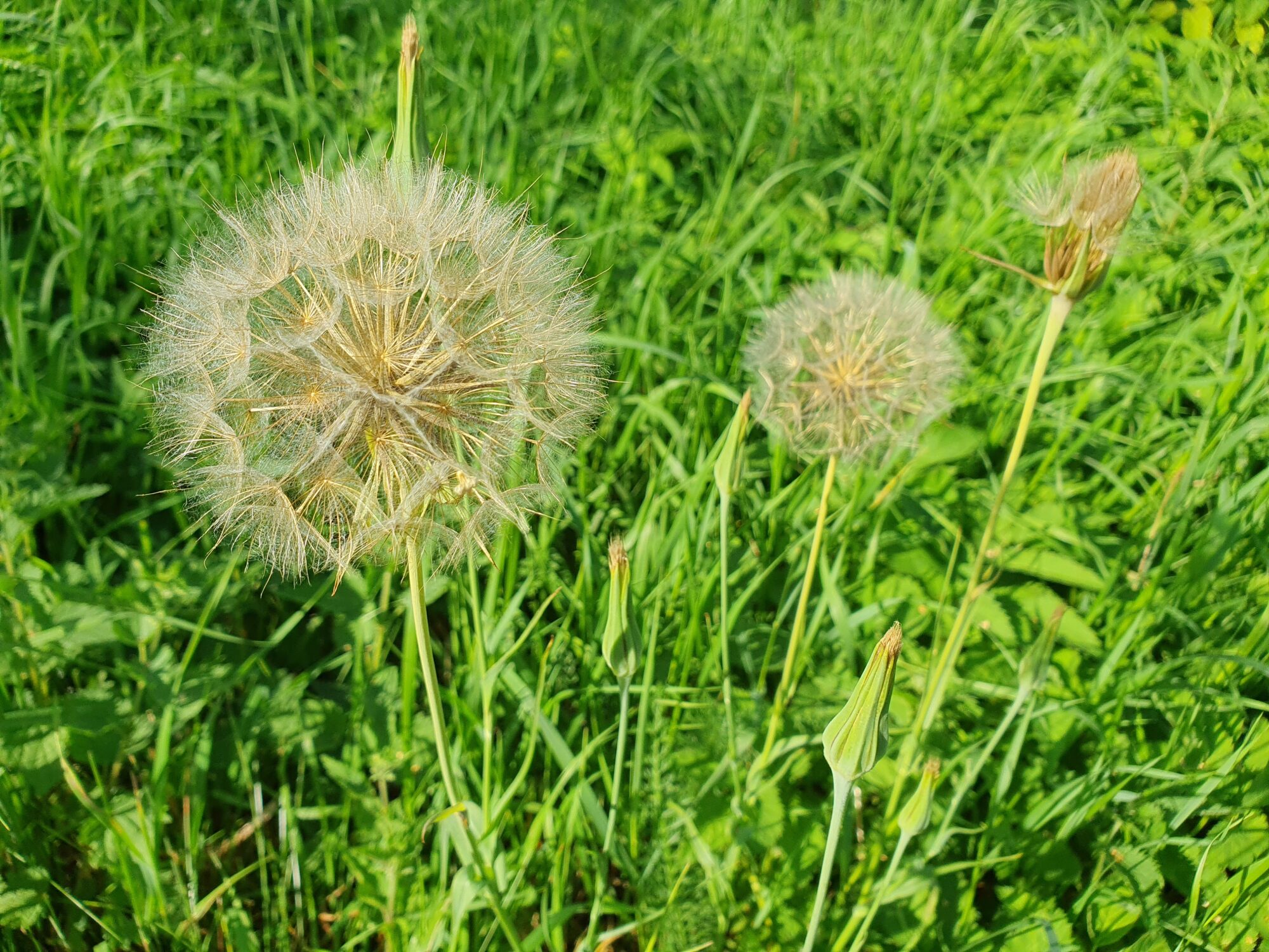 Valokuvaaja: Pirkko Tuulihovi