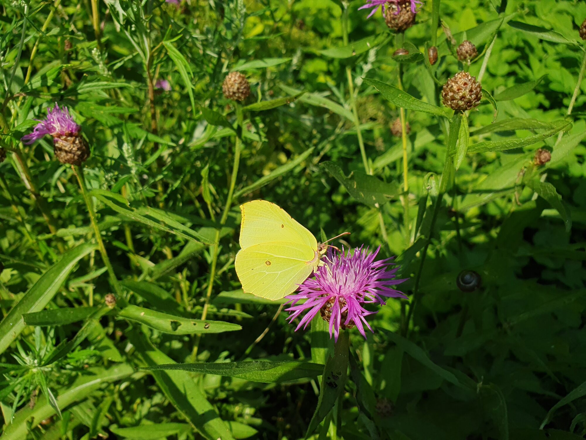 Valokuvaaja: Pirkko Tuulihovi