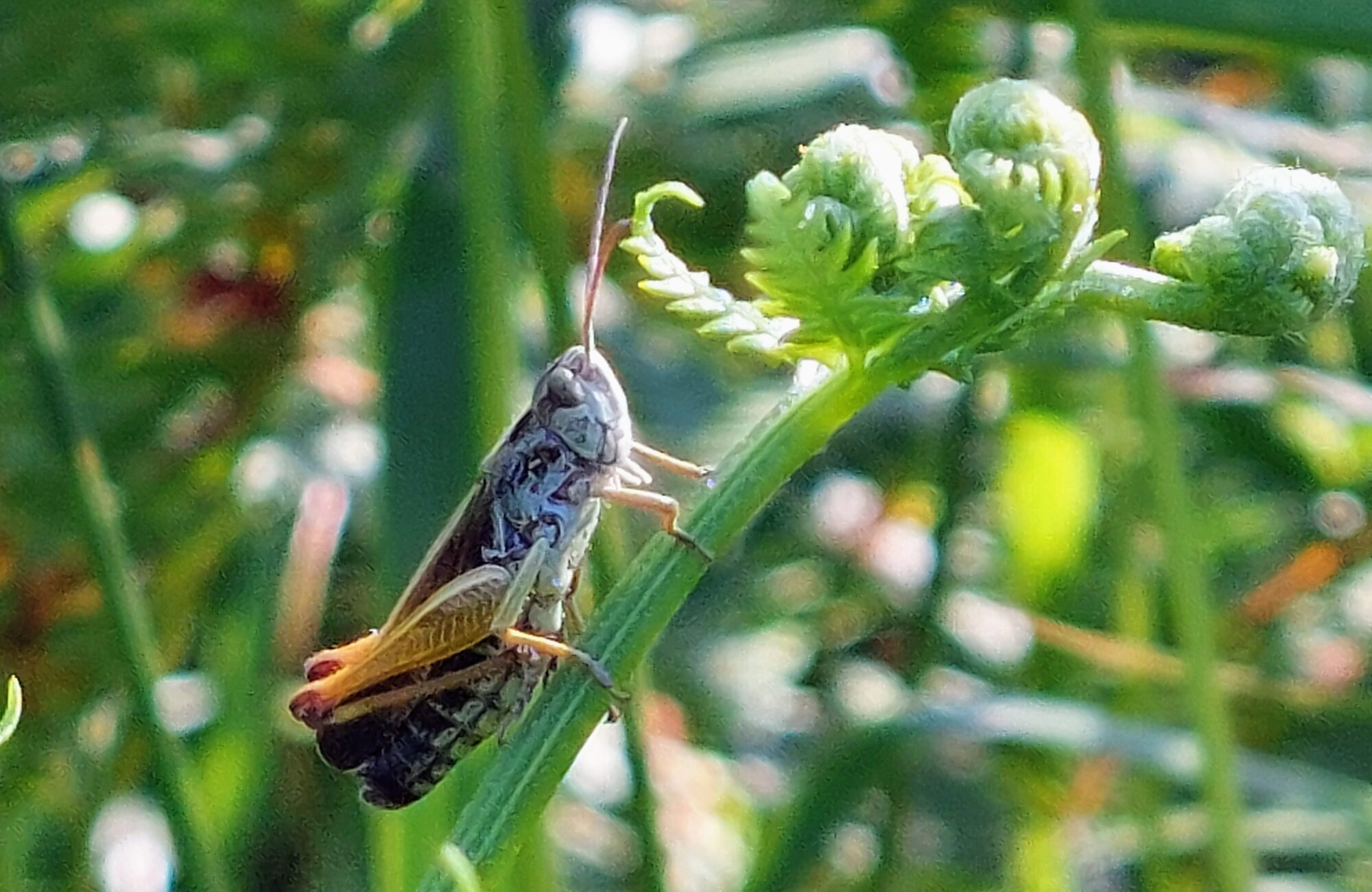 Valokuvaaja: Tarja Naukkarinen