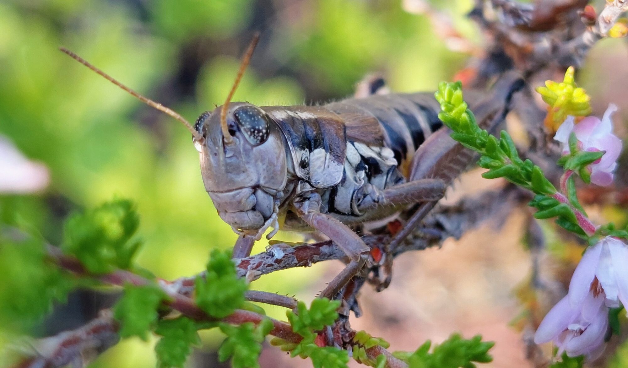 Valokuvaaja: Tarja Naukkarinen