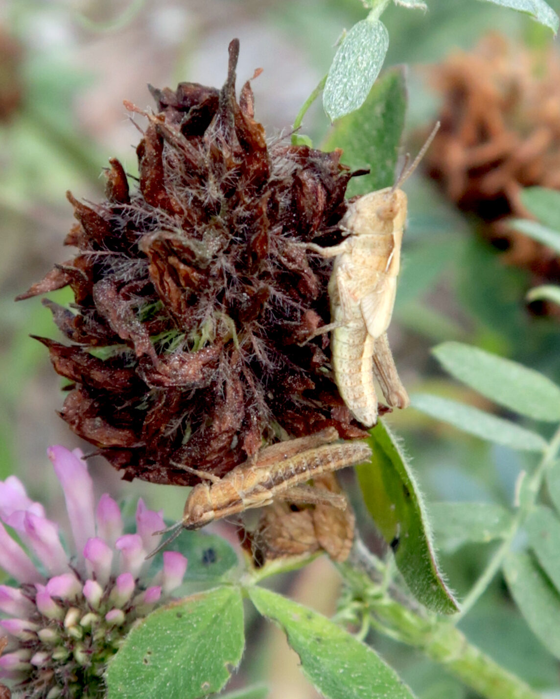 Valokuvaaja: Anssi Mäkinen