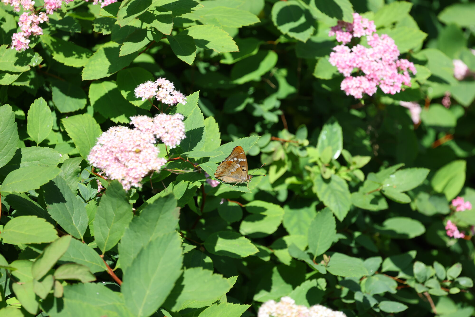 Valokuvaaja: Jukka Henriksson Valokuvaaja: Jukka Henriksson
