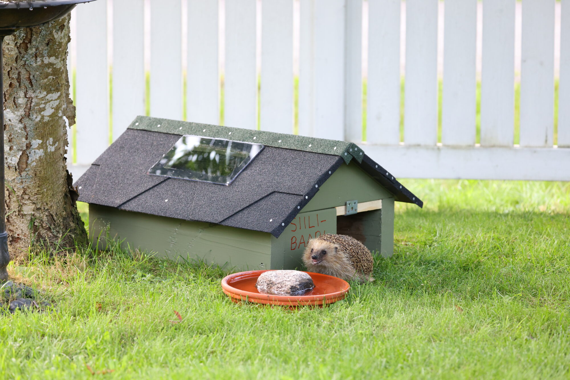 Valokuvaaja: Jukka Henriksson