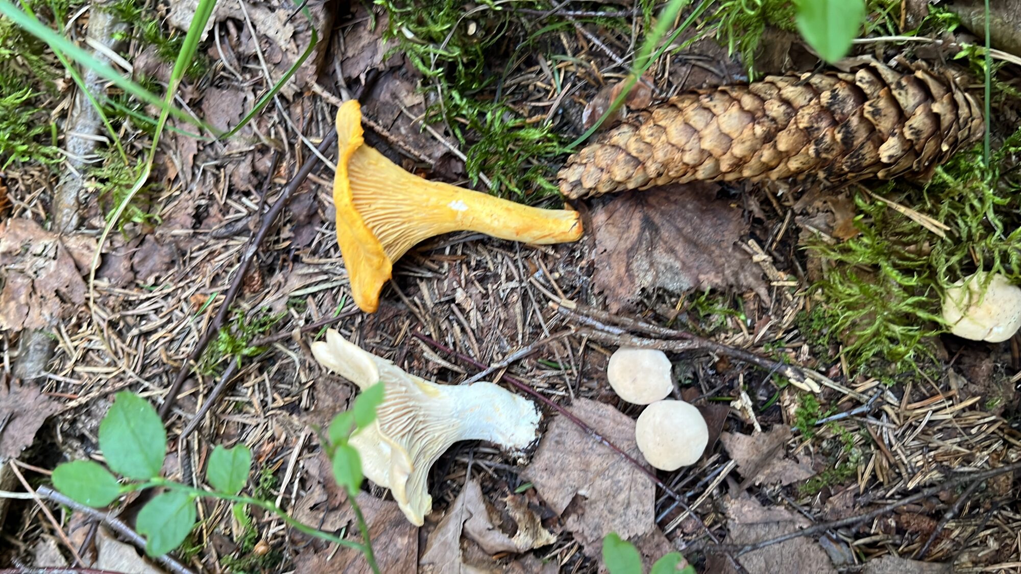 Valokuvaaja: Joona Vehkalahti Valokuvaaja: Joona Vehkalahti