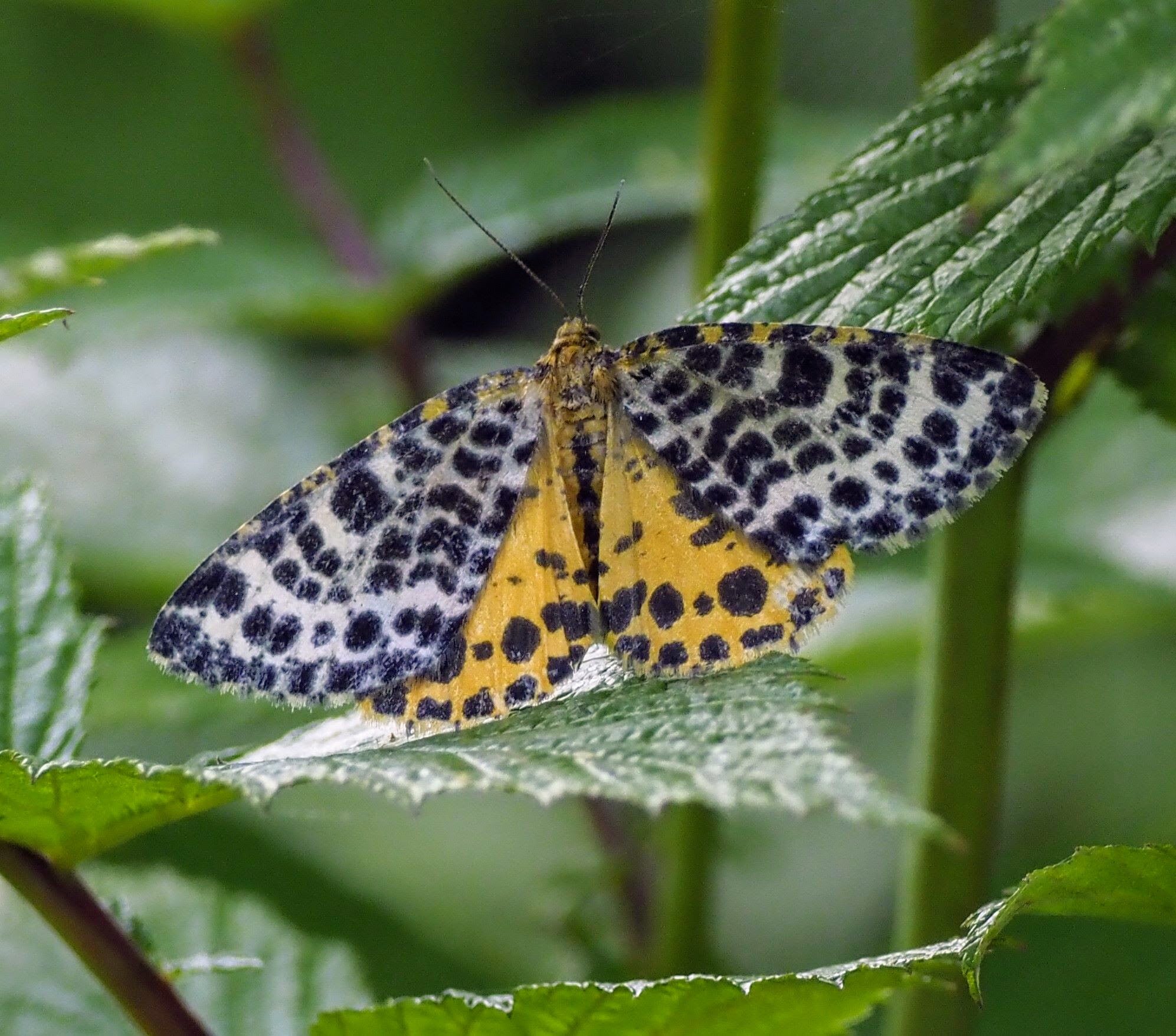 Valokuvaaja: Annikki Kärkkäinen