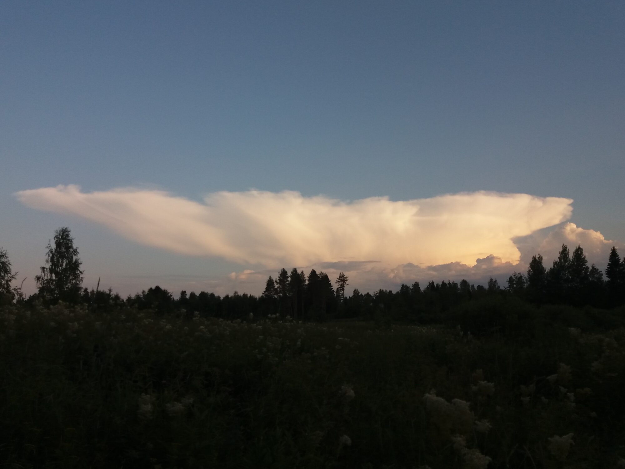 Valokuvaaja: Kaarlo Asikainen