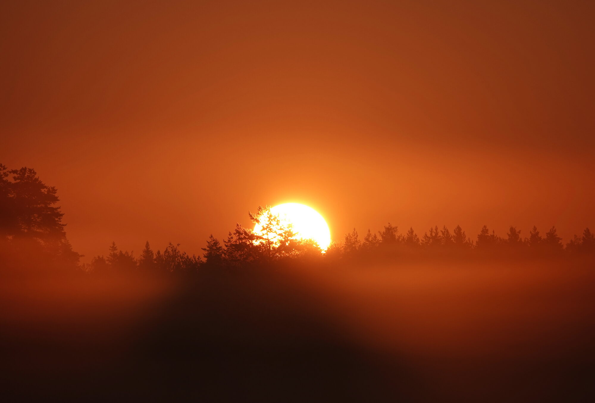 Valokuvaaja: Raija Oksanen