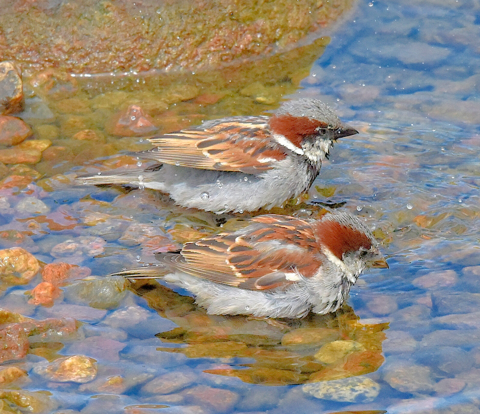 Valokuvaaja: Reijo Juurinen