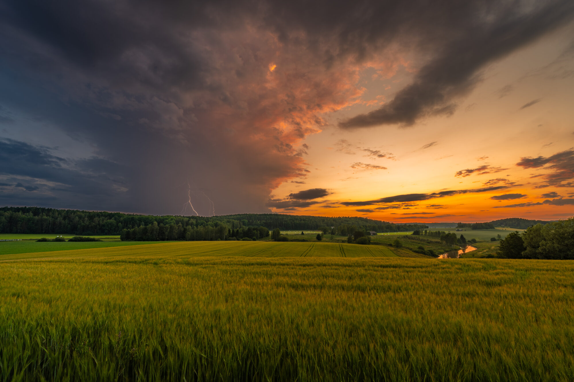 Valokuvaaja: Vili Lindegren