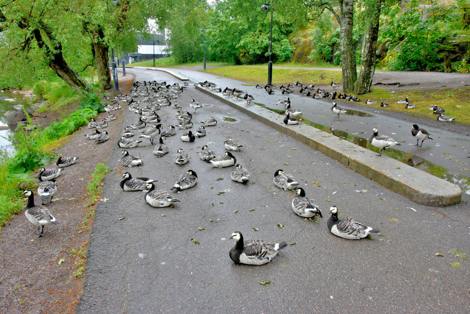 Valokuvaaja: Reijo Juurinen Valokuvaaja: Reijo Juurinen
