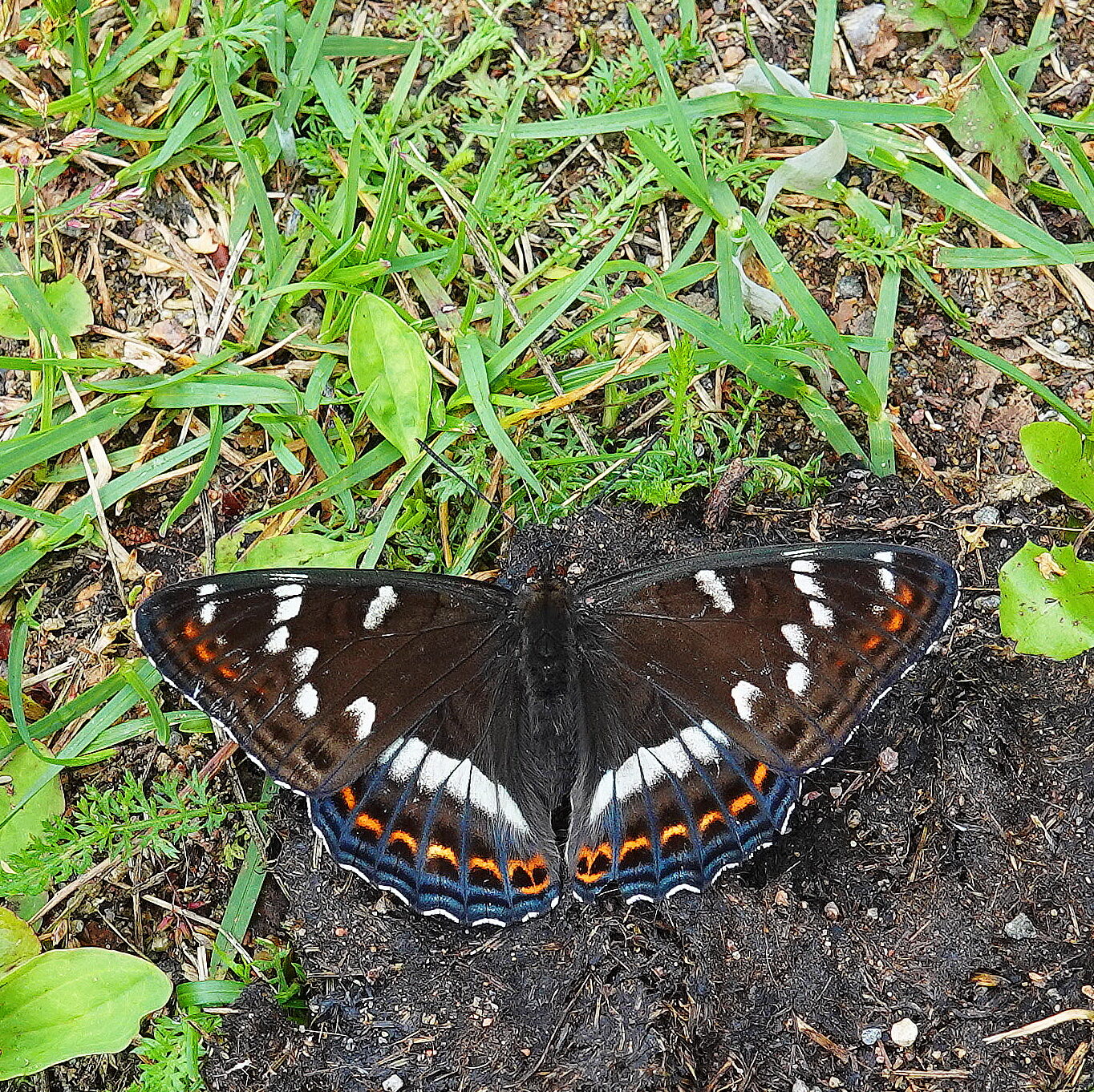 Valokuvaaja: Raija Oksanen