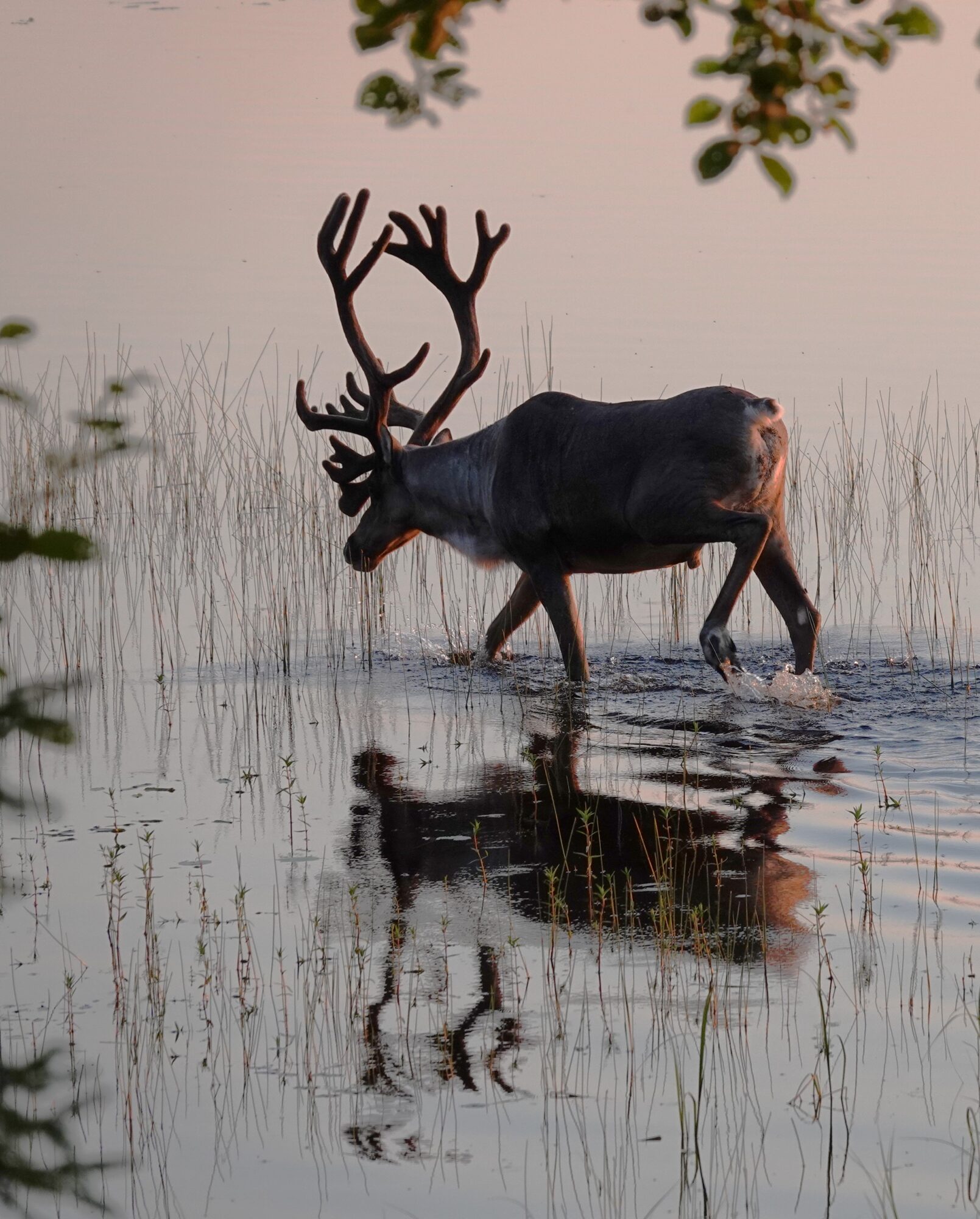 Valokuvaaja: Kaarina Heiskanen