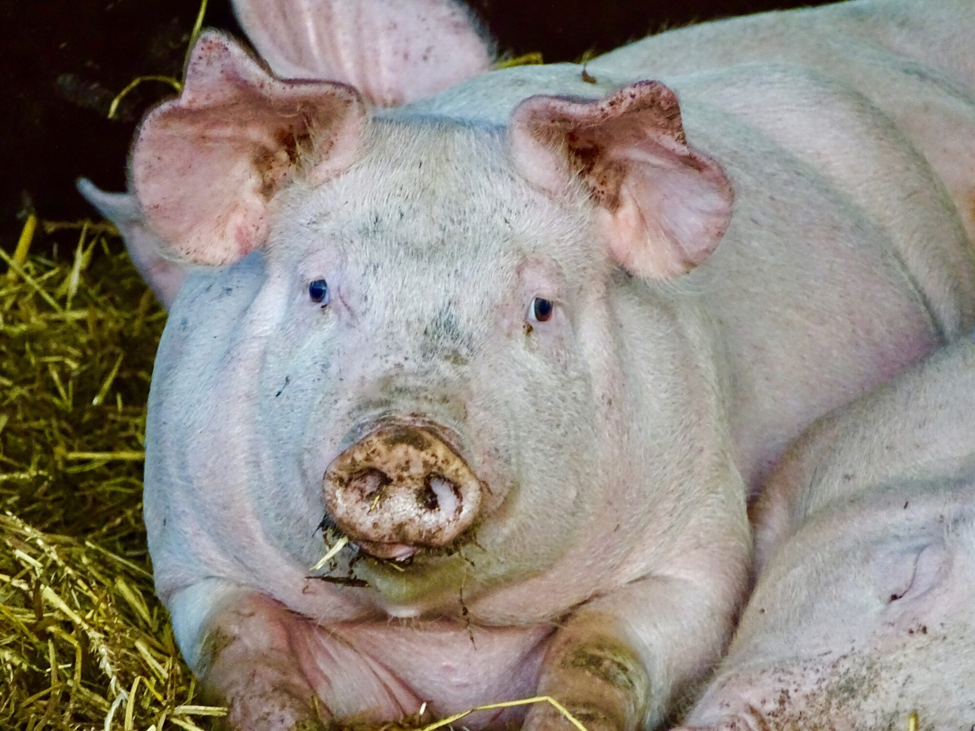 Valokuvaaja: Juhani Peltonen