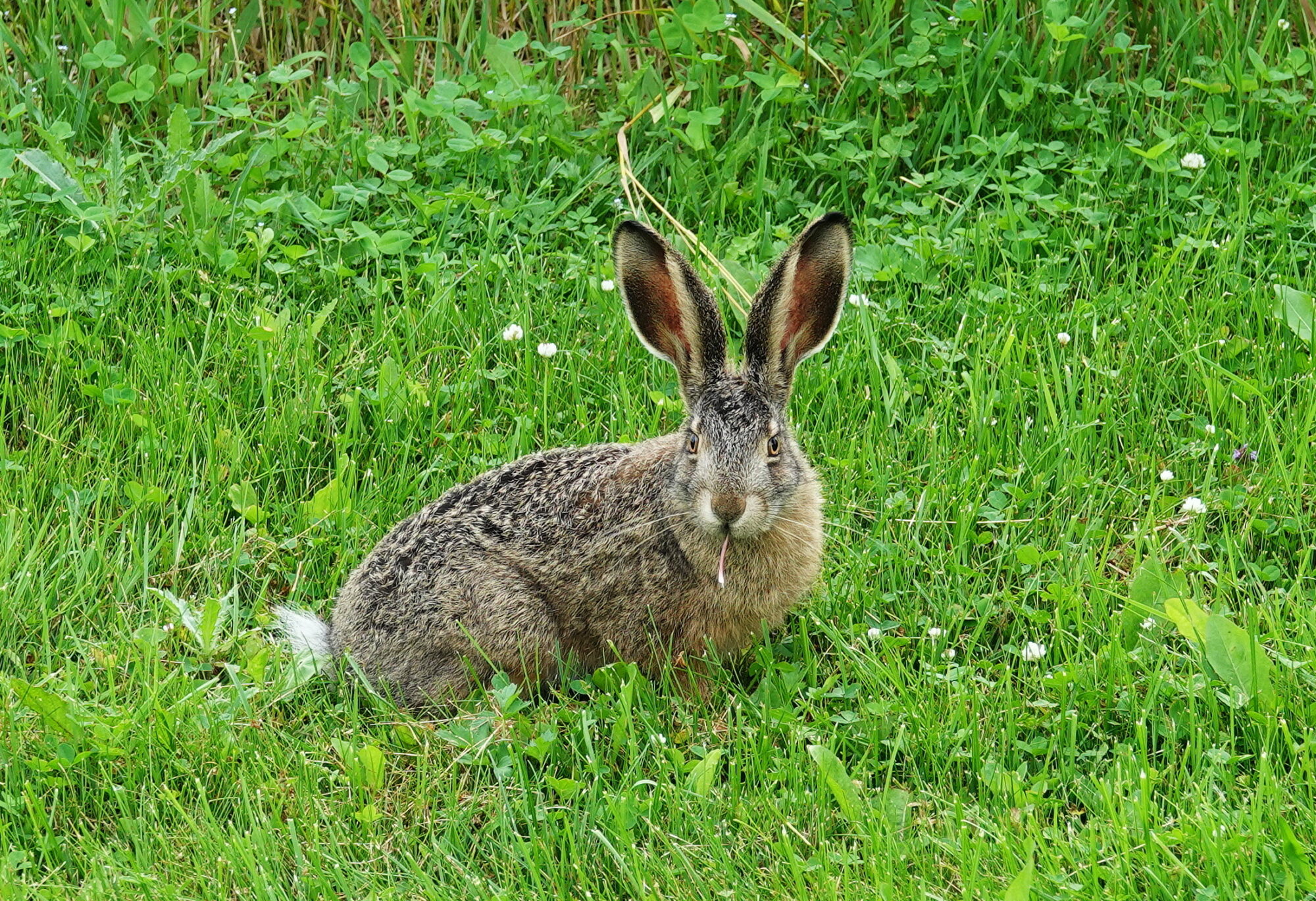 Valokuvaaja: Raija Oksanen