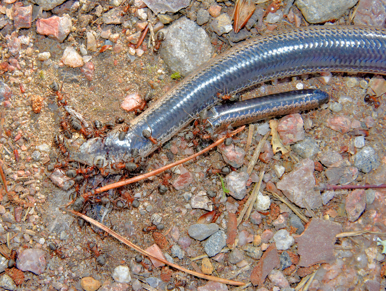 Valokuvaaja: Reijo Juurinen