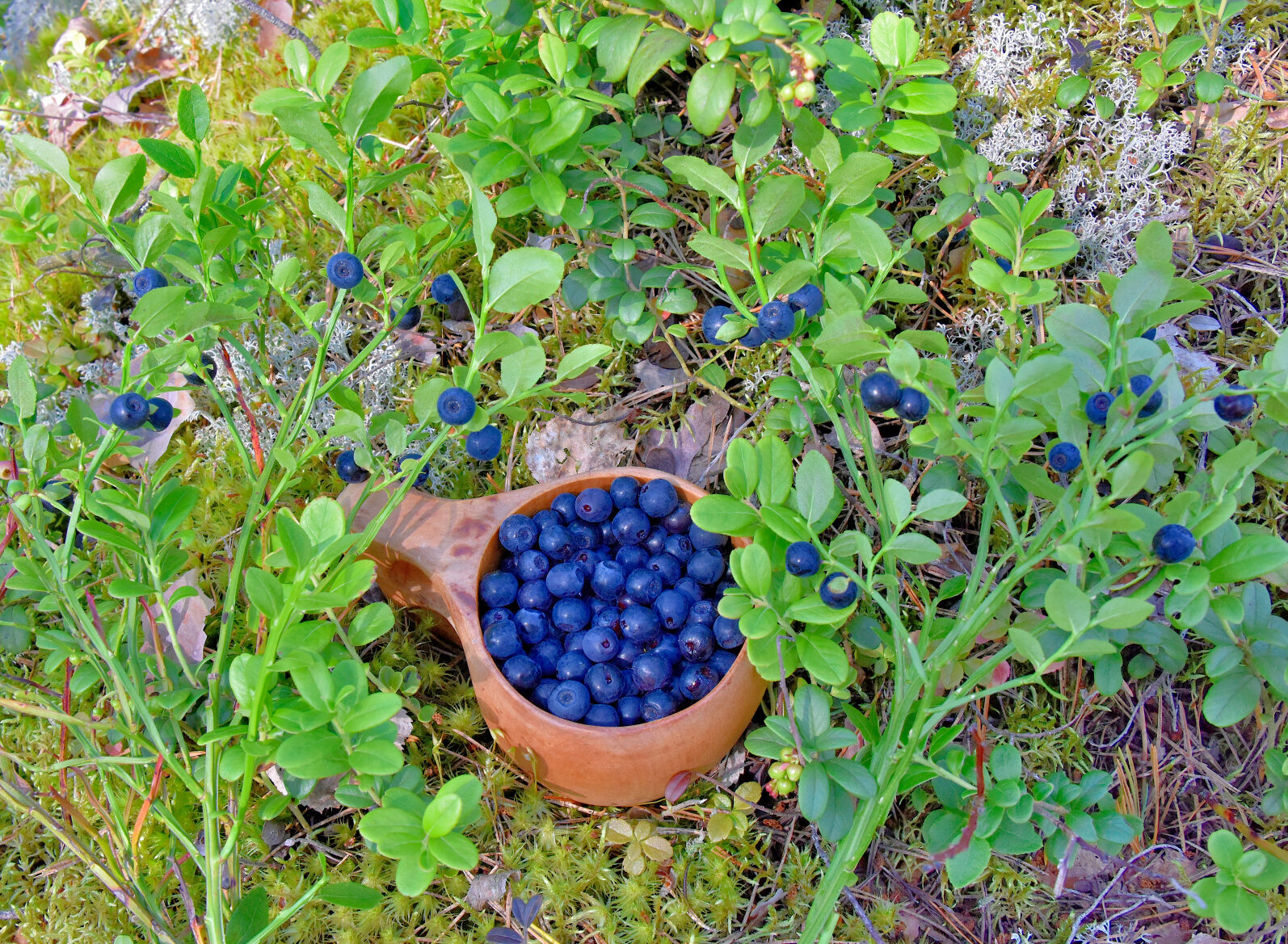 Valokuvaaja: Reijo Juurinen