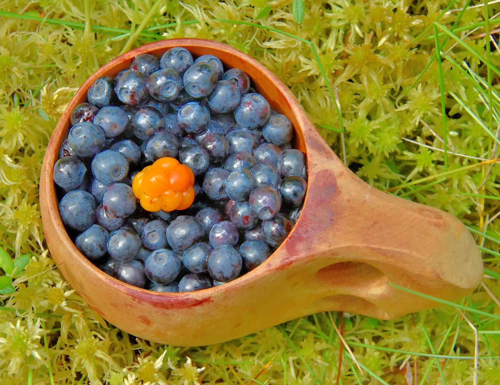 Valokuvaaja: Reijo Juurinen