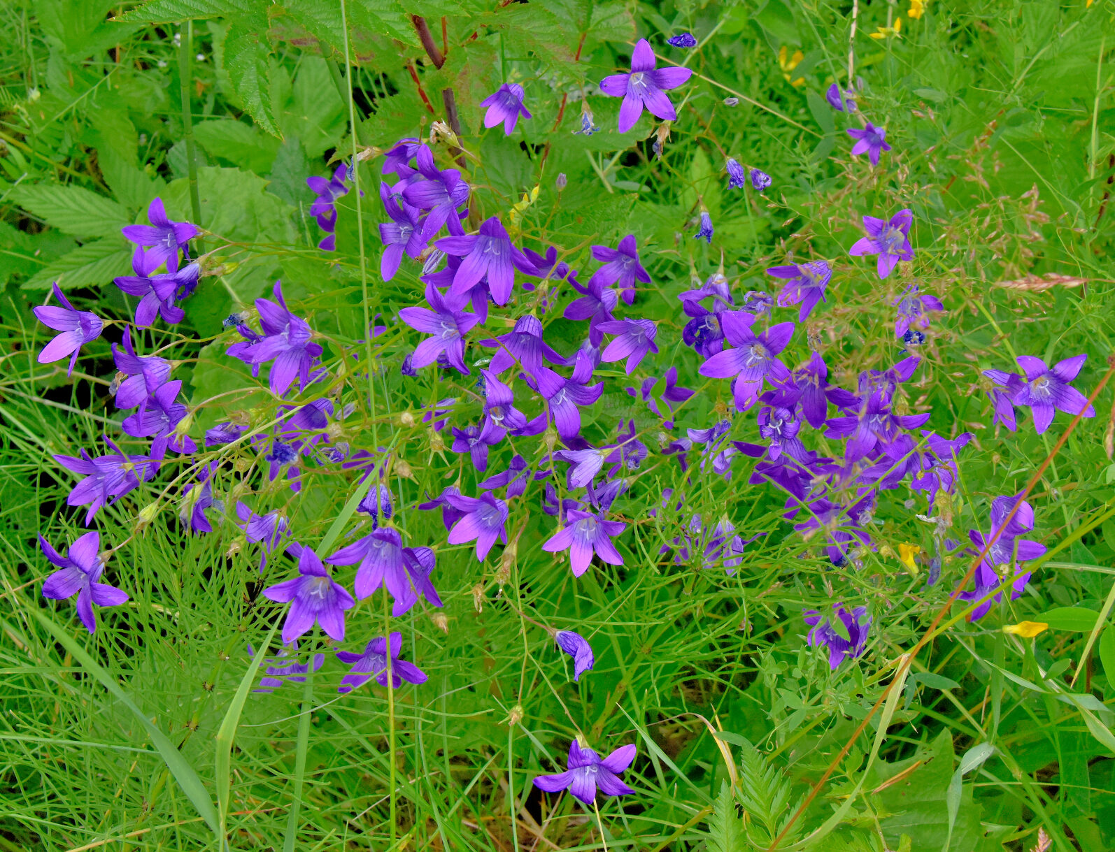 Valokuvaaja: Reijo Juurinen