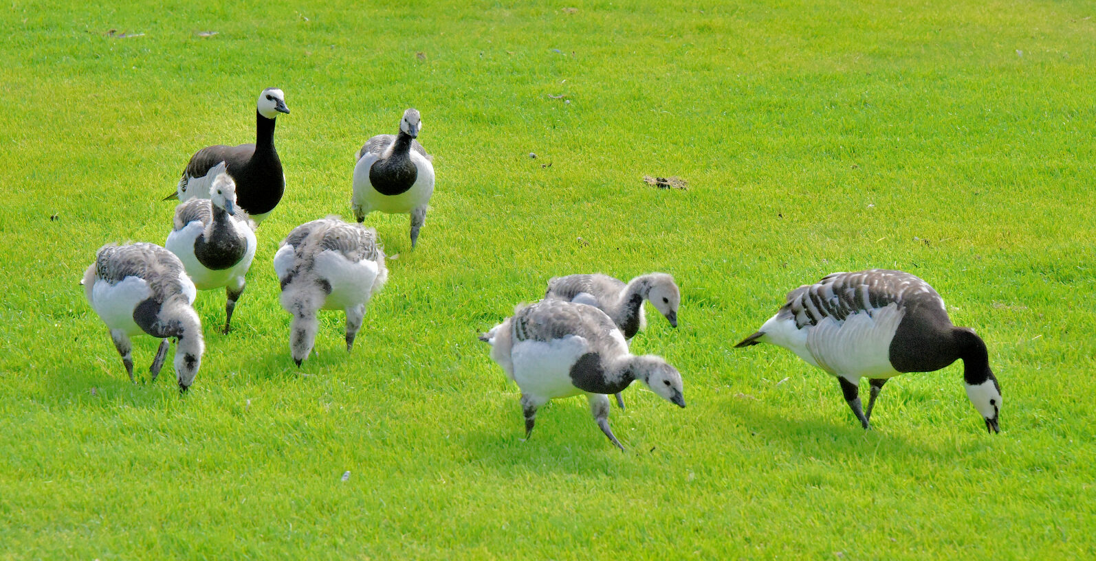 Valokuvaaja: Reijo Juurinen