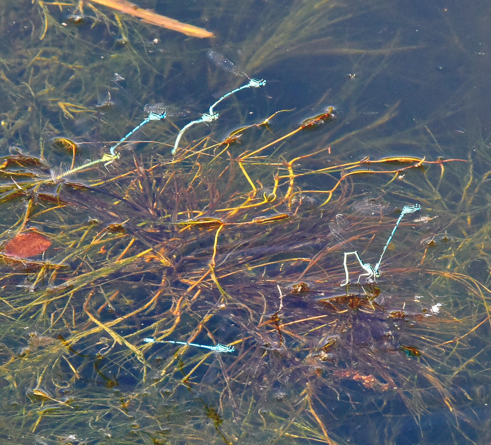 Valokuvaaja: Reijo Juurinen