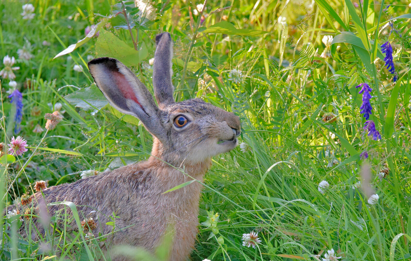 Valokuvaaja: Reijo Juurinen