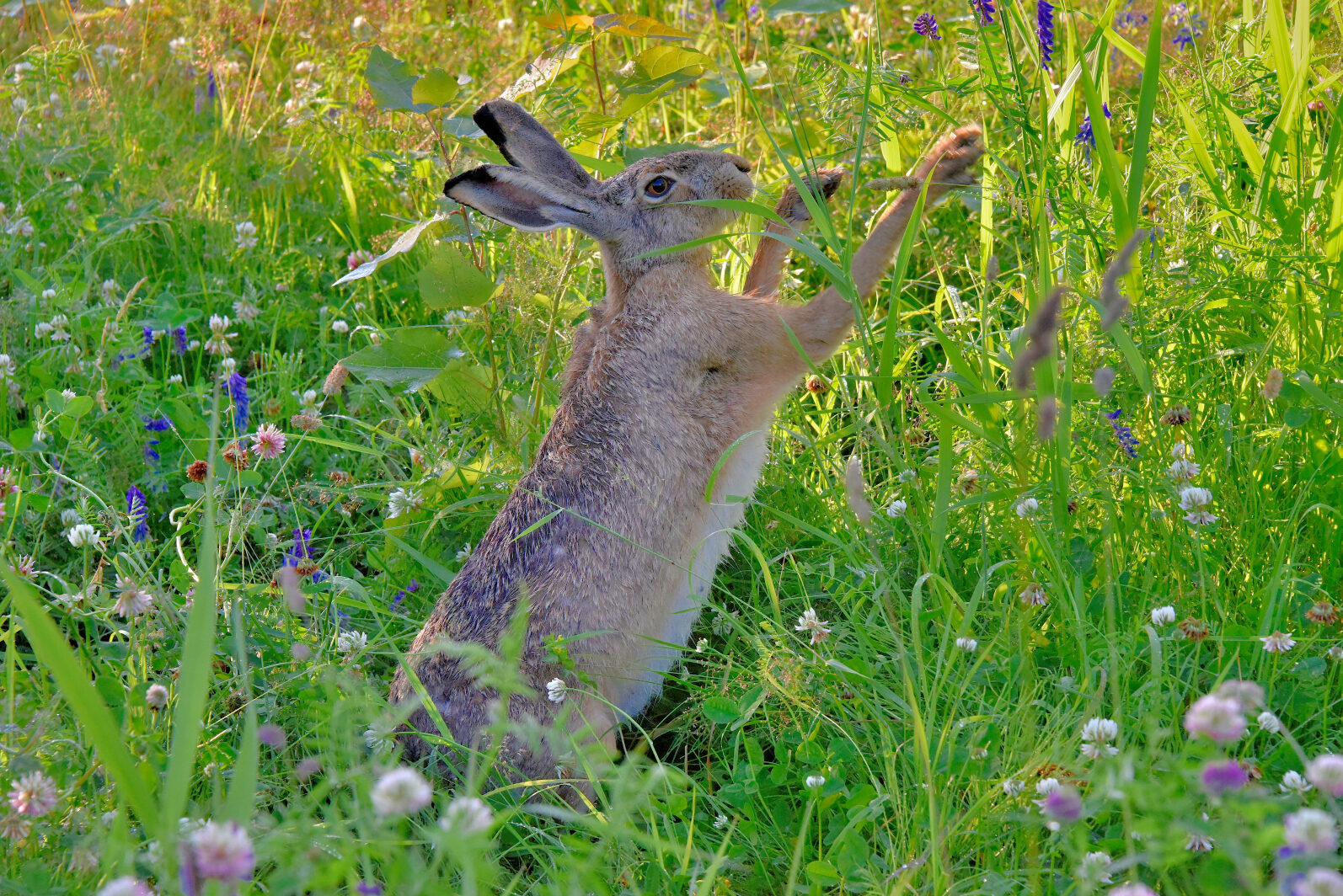 Valokuvaaja: Reijo Juurinen Valokuvaaja: Reijo Juurinen