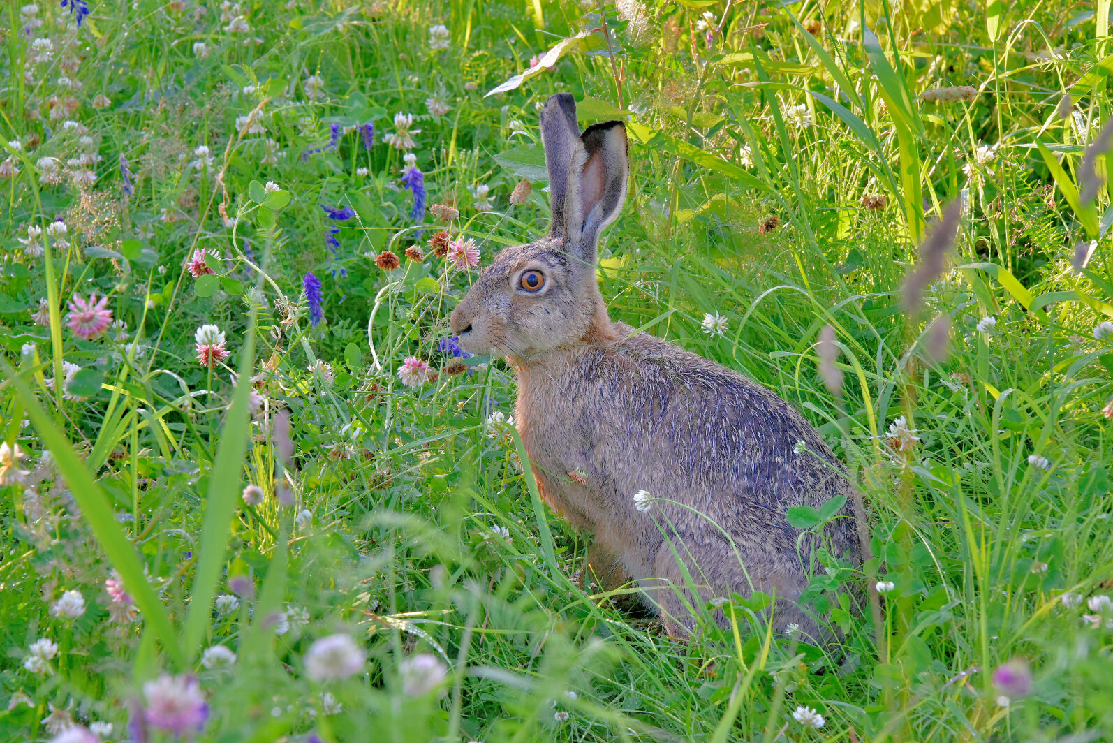 Valokuvaaja: Reijo Juurinen Valokuvaaja: Reijo Juurinen
