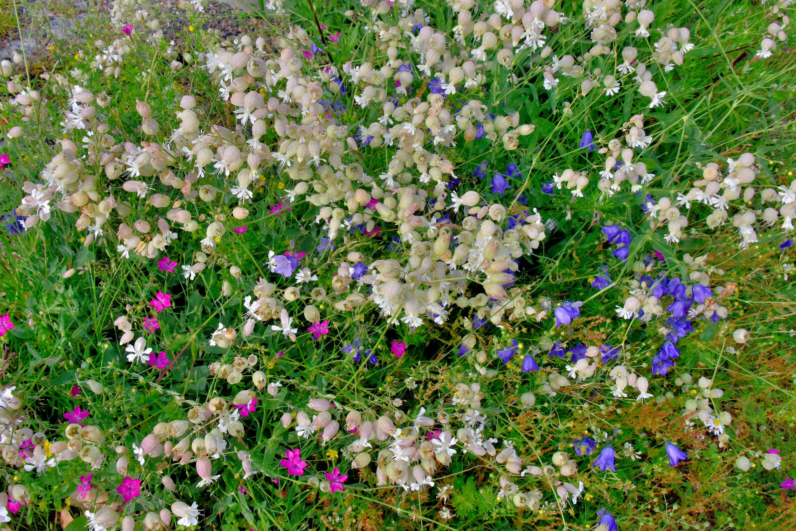 Valokuvaaja: Reijo Juurinen