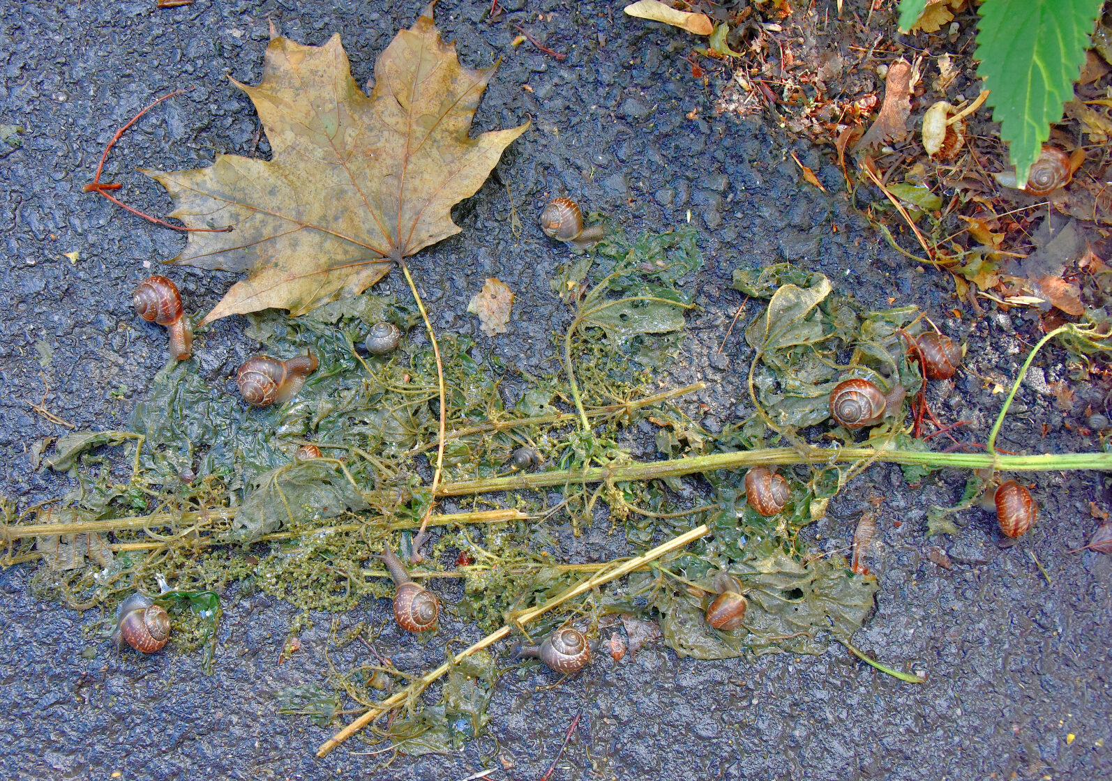 Valokuvaaja: Reijo Juurinen