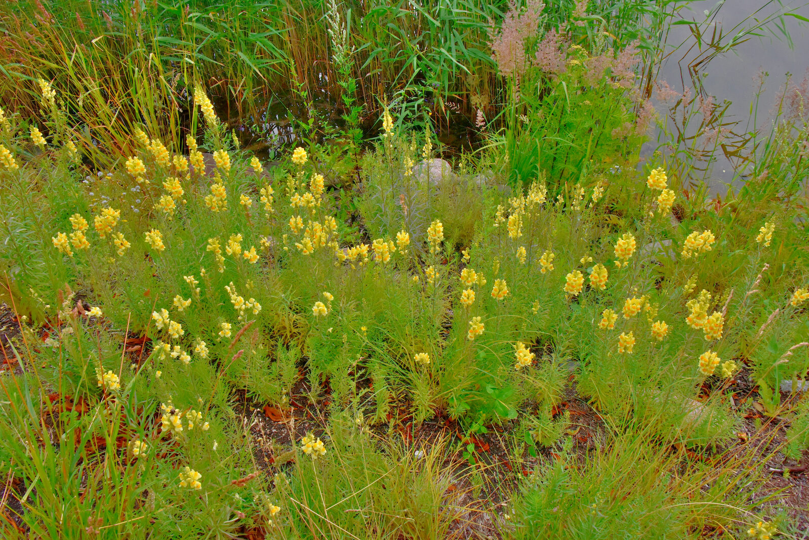 Valokuvaaja: Reijo Juurinen Valokuvaaja: Reijo Juurinen