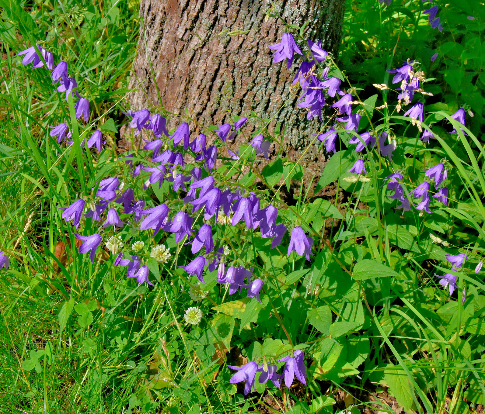 Valokuvaaja: Reijo Juurinen
