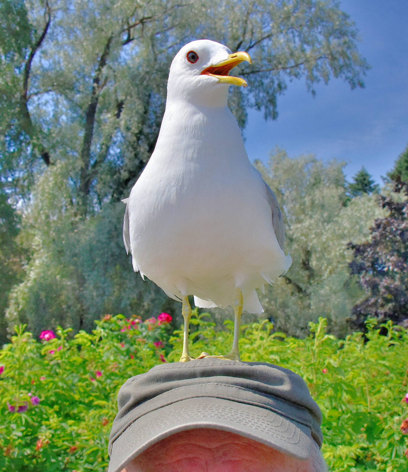 Valokuvaaja: Reijo Juurinen