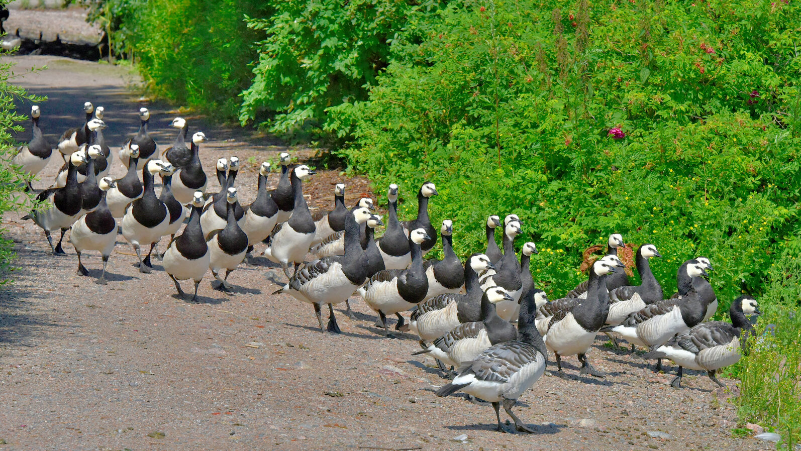 Valokuvaaja: Reijo Juurinen