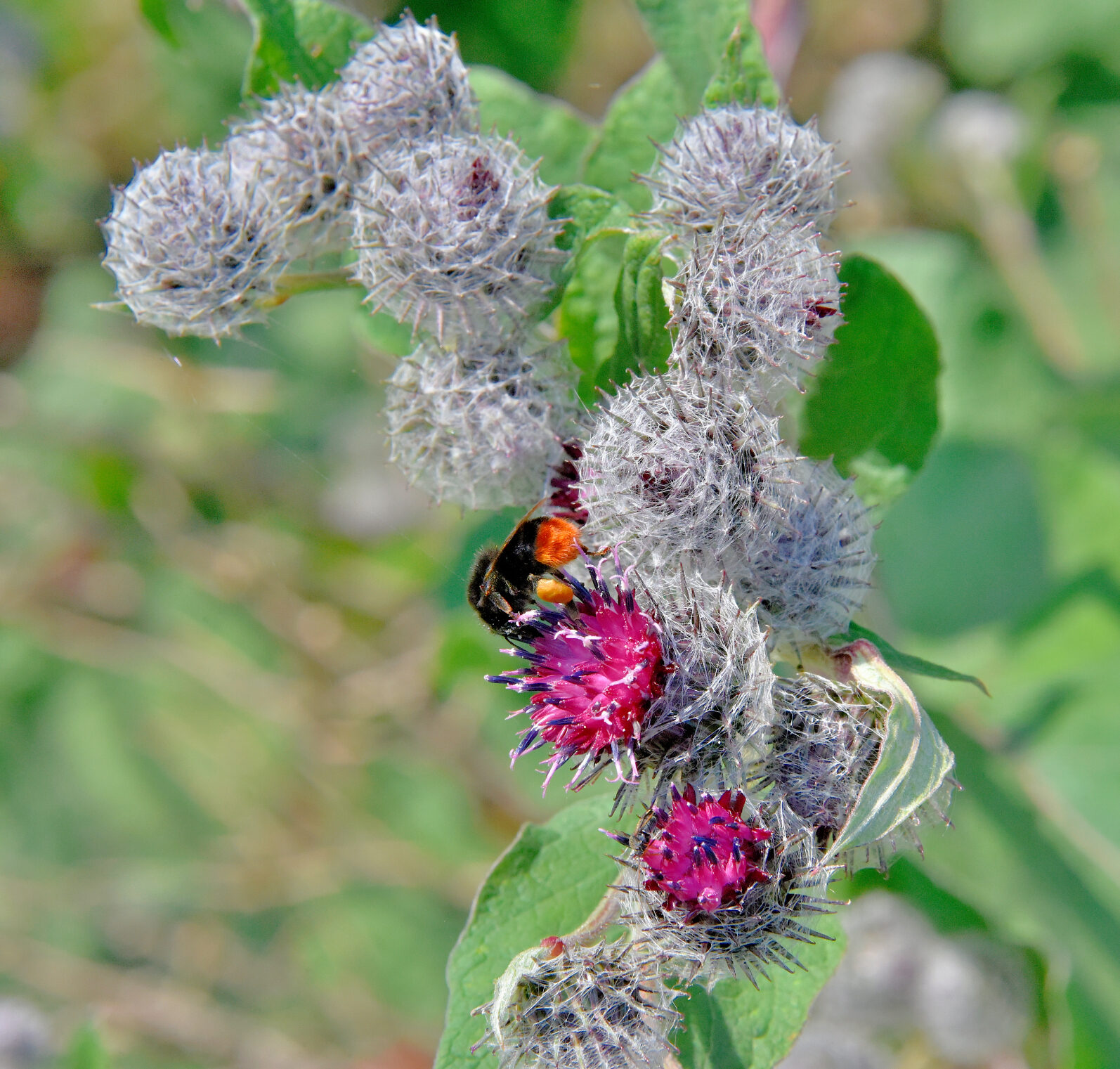 Valokuvaaja: Reijo Juurinen Valokuvaaja: Reijo Juurinen
