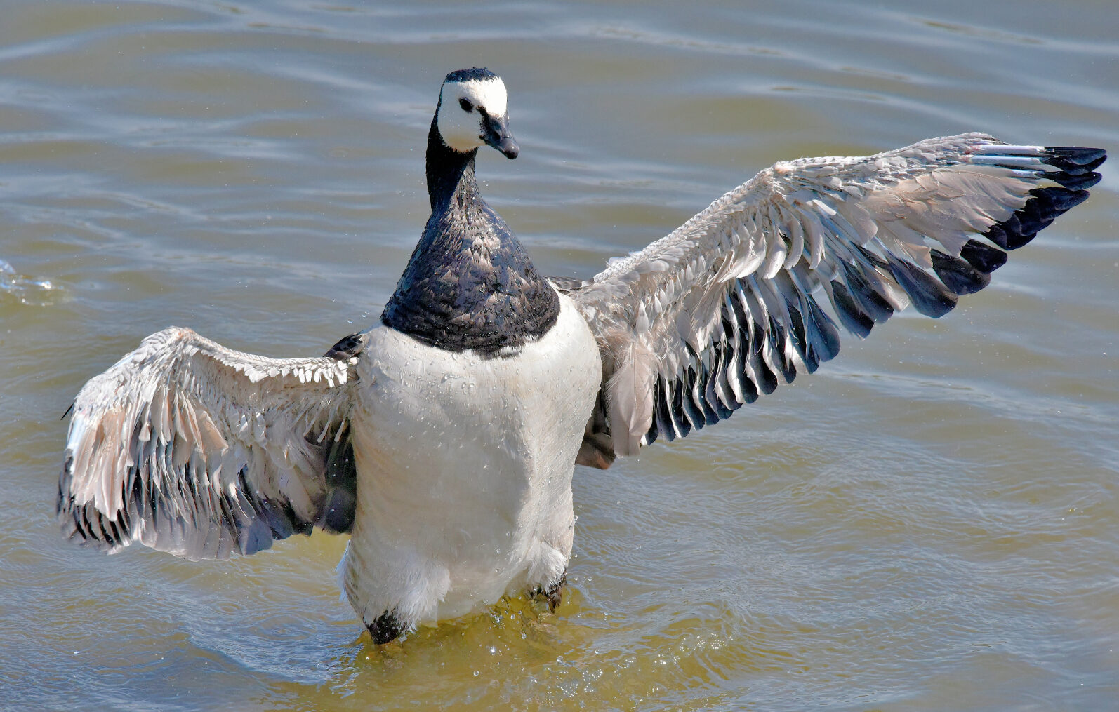 Valokuvaaja: Reijo Juurinen
