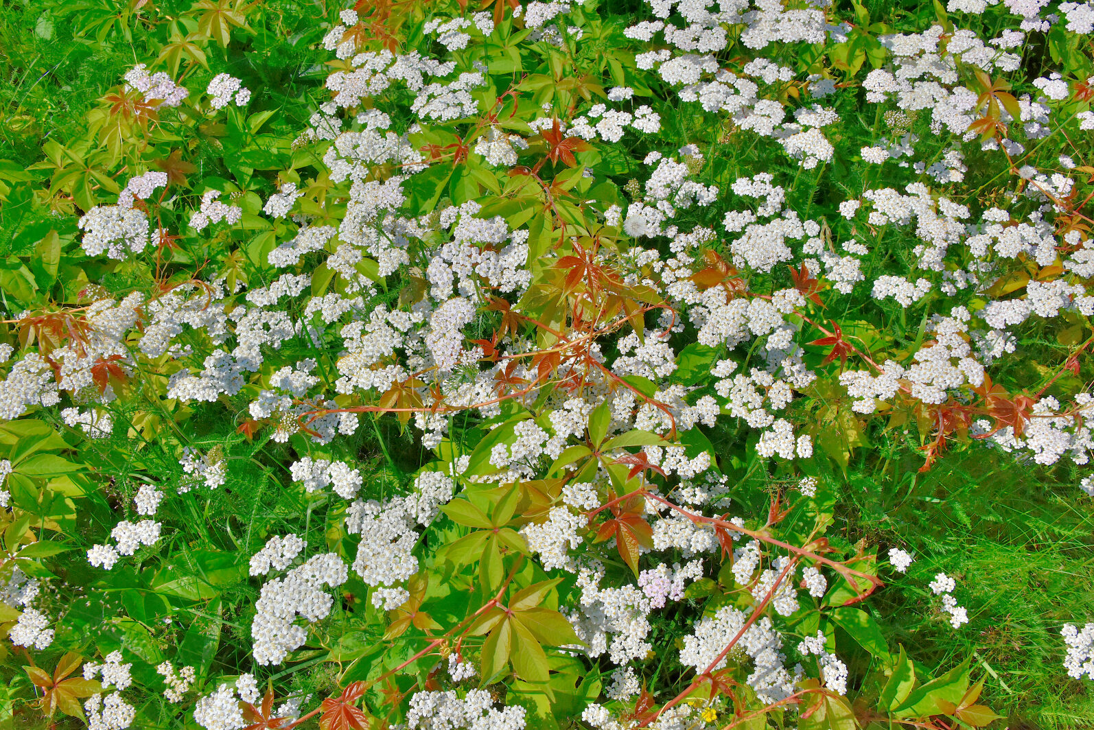 Valokuvaaja: Reijo Juurinen