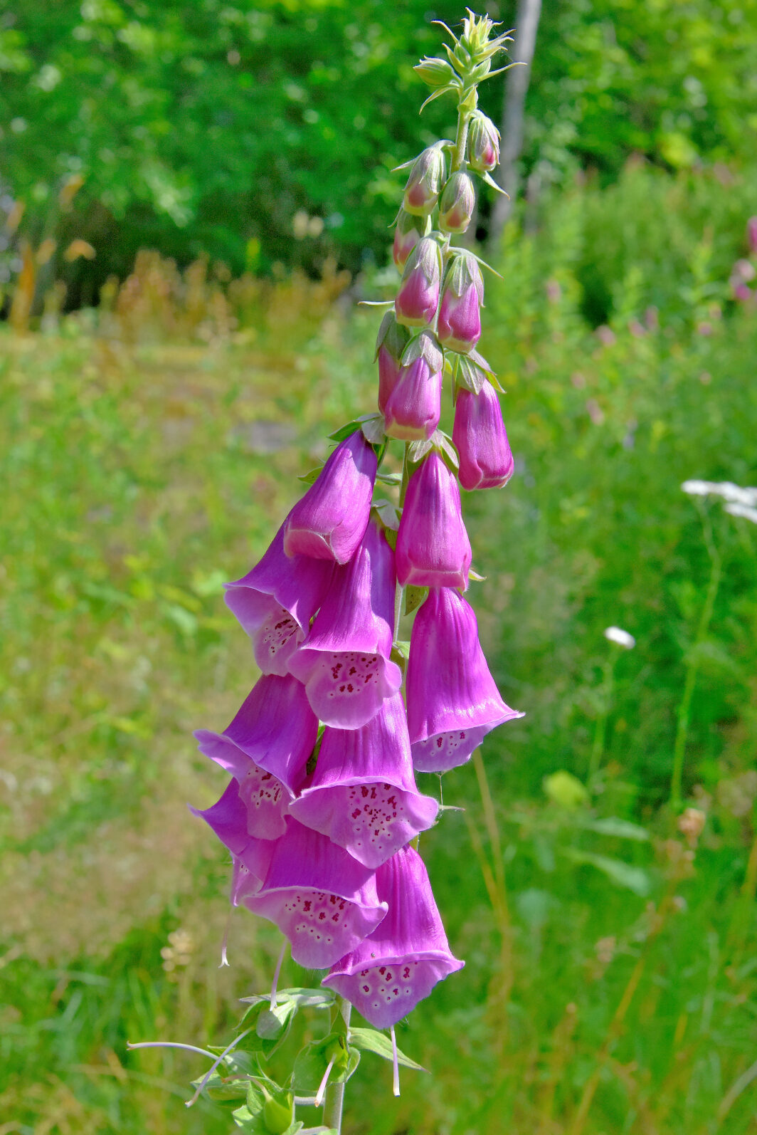 Valokuvaaja: Reijo Juurinen Valokuvaaja: Reijo Juurinen