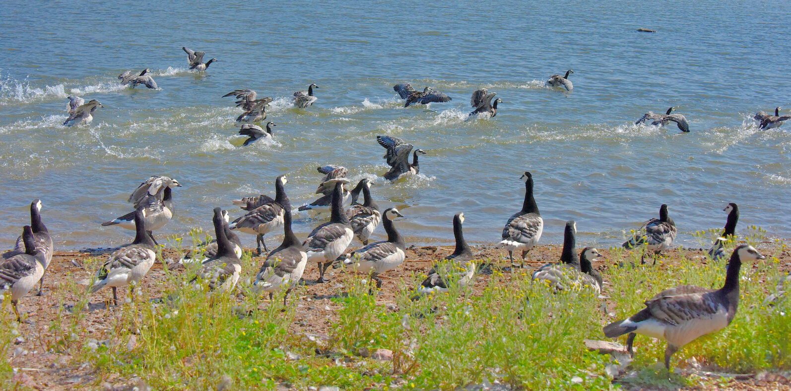 Valokuvaaja: Reijo Juurinen