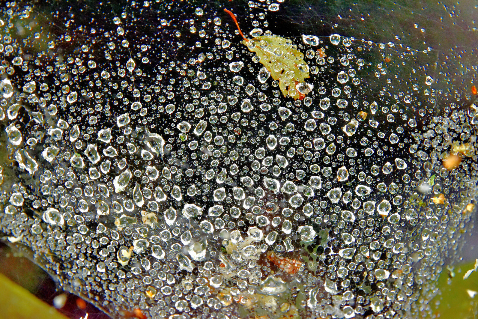 Valokuvaaja: Reijo Juurinen