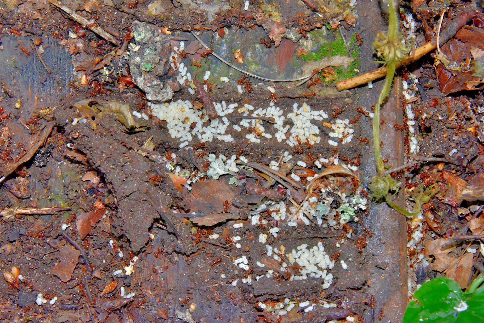 Valokuvaaja: Reijo Juurinen