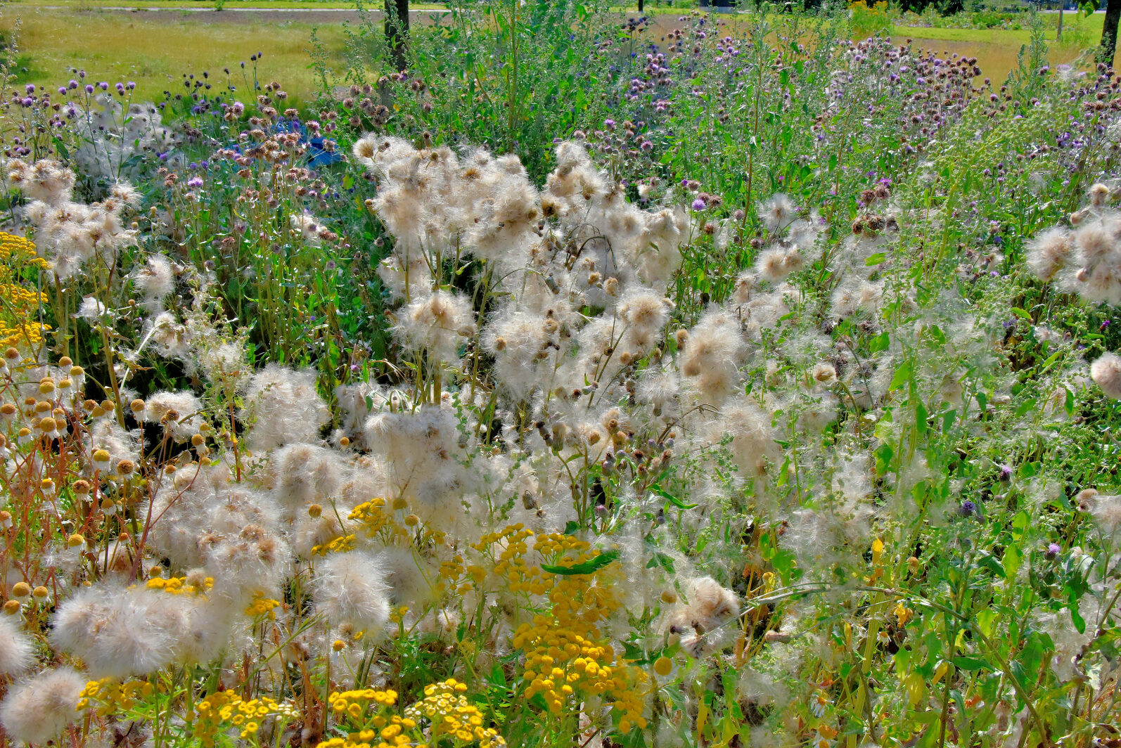 Valokuvaaja: Reijo Juurinen
